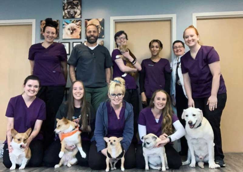 Carousel Slide 5: Meet our veterinary team